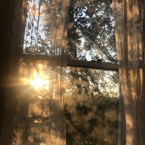 Meet your Posher, Alexa